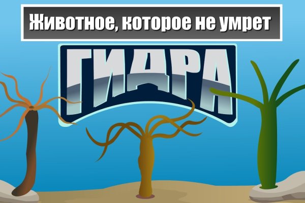 Как зайти в кракен торе